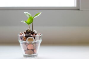 small plant with few green leaves grown out of glass jars with coins in it, learning to earn a living